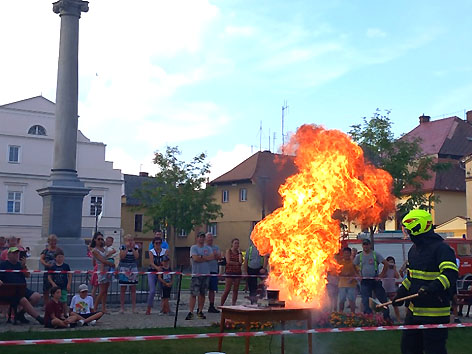 Při prodeji klece pro králíka ji podvodník připravil o desetitisíce