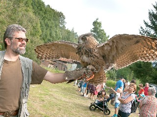 JT36TitulA.jpg - Návštěvníci letošních dožínkových slavností v Bělé si mohli z blízka prohlédnout opeřené dravce. FOTO (JS)