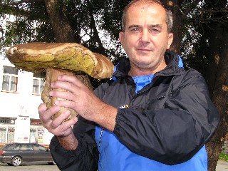 Internet-houba.JPG - Více než dvoukilový pravák s kloboukem o průměru třiceti dvou centimetrů našel v sobotu dopoledne Milan Krtek z Jeseníku. *Našel jsem ho cestou na Čertovy kameny. Původně jsem si myslel, že je to velký kámen,* řekl nám šťastný nálezce. 