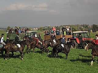 JT43.jpg - Na Hubertovu jízdu vyrazili jezdci na koních i hosté na traktorových soupravách. FOTO (rys)
