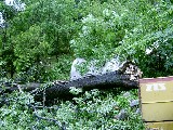 S3600002.jpg - 