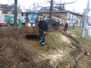 JT07TitulA.jpg - Pracovníci TS Jeseník uklízeli i vyvrácený modřín u parkoviště za Jesenkou.